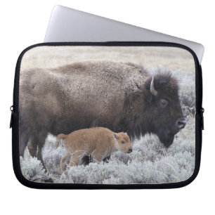 Capa Para Notebook Vaca e Vitelo Bison, Yellowstone