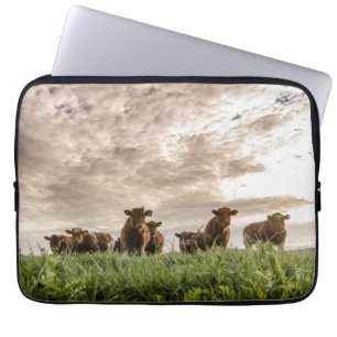 Capa Para Notebook Vacas