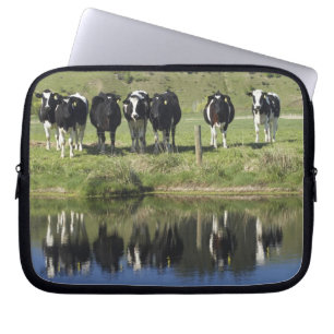 Capa Para Notebook Vacas refletidas no canal, Henley, Taieri Plain,