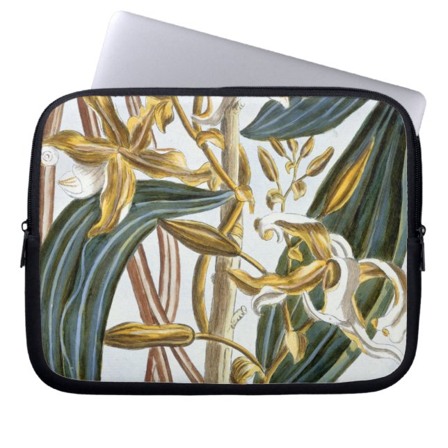 Capa Para Notebook Vagens da baunilha, placa 65, 'da coleção (Frente)