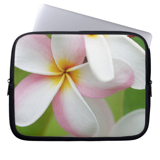 Capa Para Notebook Vazio personalizado flor de Havaí do Frangipani do (Frente)