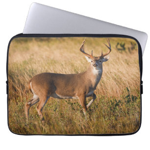 Capa Para Notebook Veado branco Outono em TX