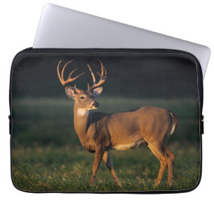Capa Para Notebook Veado branco Parque Estadual de Choke Canyon, TX