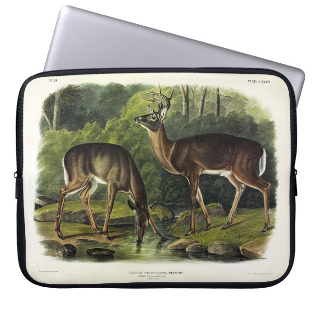 Capa Para Notebook Veado comum (branco) - Quadrupedes de Audubon (Frente)