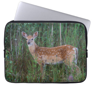 Capa Para Notebook Veado-de-cauda-branca   Reserva Nacional de Búfalo