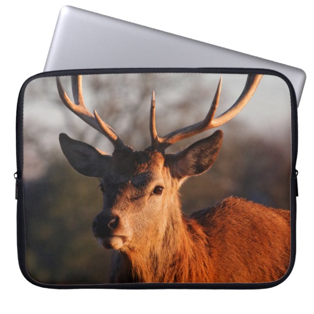 CAPA PARA NOTEBOOK VELOCIDADE HI (Frente)