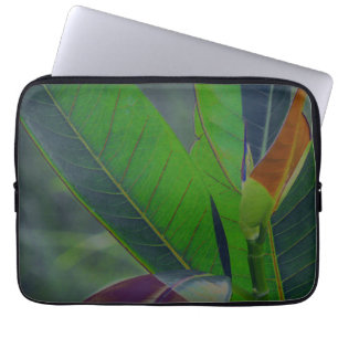 Capa Para Notebook Verde deixa fechado