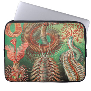 Capa Para Notebook Vermes, Annelids Chaetopoda, por Ernst Haeckel
