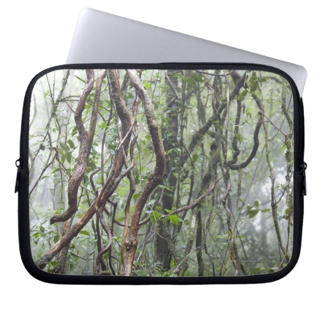 Capa Para Notebook videira e ramos torcidos na floresta húmida (Frente)