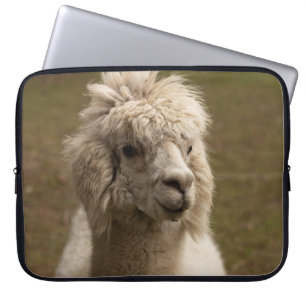 CAPA PARA NOTEBOOK VIENNA WIEN ÖSTERREICH ÁUSTRIA ALPAKA LAMA ANIMA