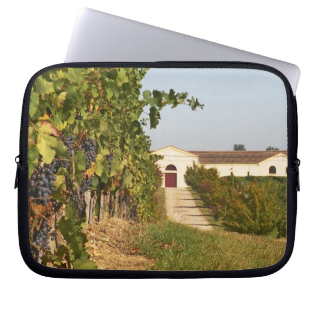 Capa Para Notebook Vinhas, videiras petit verdot e a adega ao (Frente)