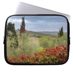 Capa Para Notebook Vinícola perto de Montalcino, Toscana, Itália
