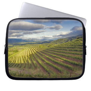 Capa Para Notebook Vinícola. Vale de Napa. Napa. Condado de Napa,