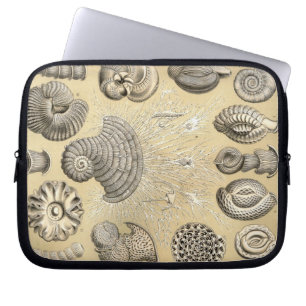 Capa Para Notebook Vintage Haeckel