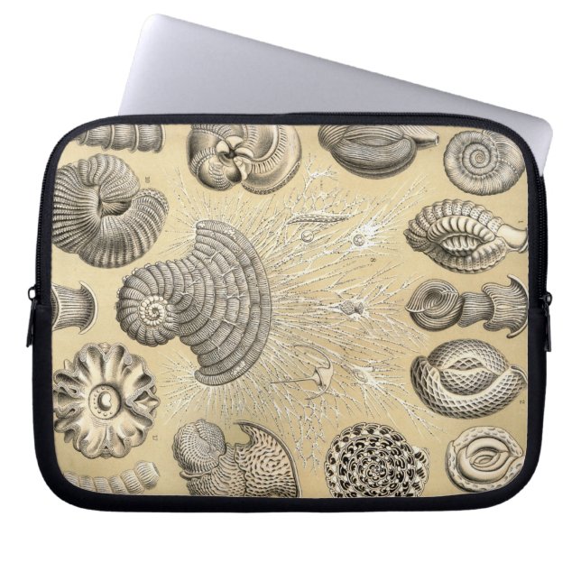 Capa Para Notebook Vintage Haeckel (Frente)