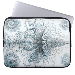Capa Para Notebook Vintage Haeckel