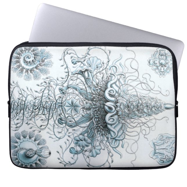 Capa Para Notebook Vintage Haeckel (Frente)