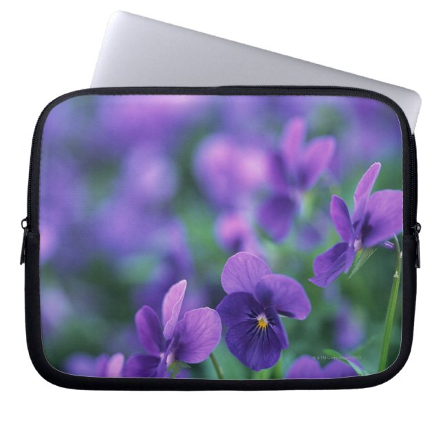 Capa Para Notebook Viola (Frente)