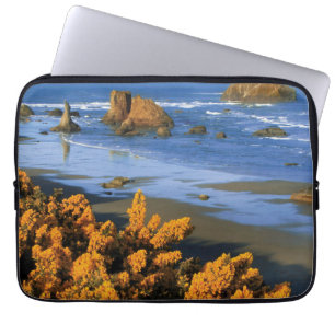 Capa Para Notebook Vista da Praia de Oregon em Bandon