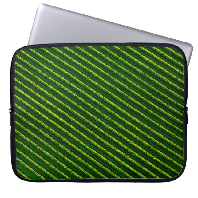 Capa Para Notebook Vista superior das linhas de arbustos de groselha  (Frente)