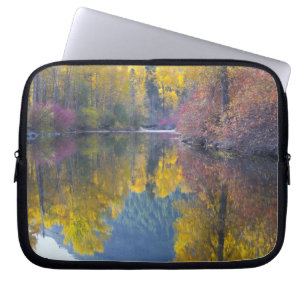 Capa Para Notebook WA, Floresta Nacional de Wenatchee, Whitepine Cree