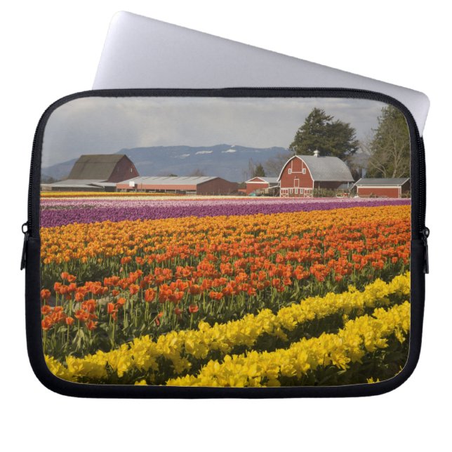 Capa Para Notebook WA, Vale de Skagit, Campos de tulipas em flor, em (Frente)