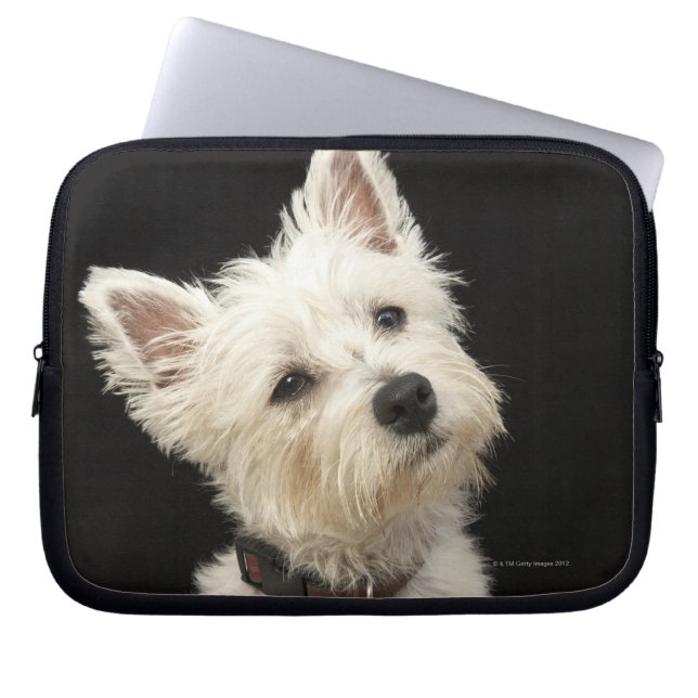 Capa Para Notebook Westie (West Highland terrier) com coleira (Frente)