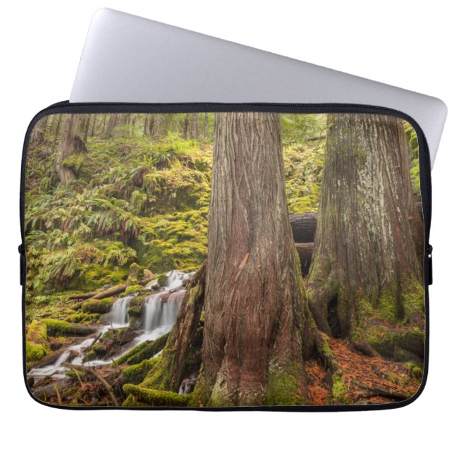 Capa Para Notebook White Branch Falls, Oregon Cascades, Oregon (Frente)