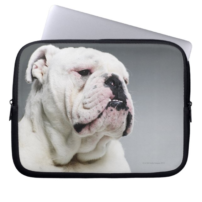 Capa Para Notebook White Bull dog (Frente)