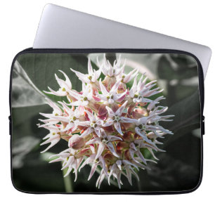 Capa Para Notebook White Showed Milkweed, Fotografia de flor selvagem