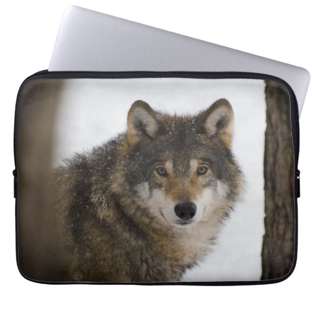 Capa Para Notebook Wolf In Woods Eletrônicos Bag (Frente)