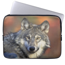 Capa Para Notebook Wolf Wisdom