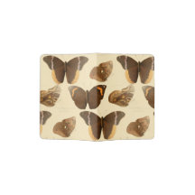 borboletas sol de verão