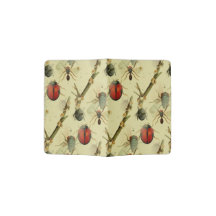 insetos borboletas, jardim de verão