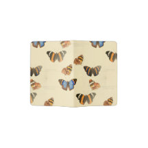 presente de verão da borboleta