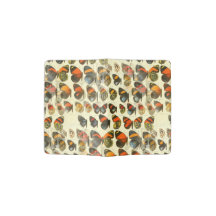 presente de verão das borboletas