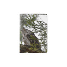 TAWNY FROGMOUTH OWL RURAL QUEENSLAND AUSTRÁLIA