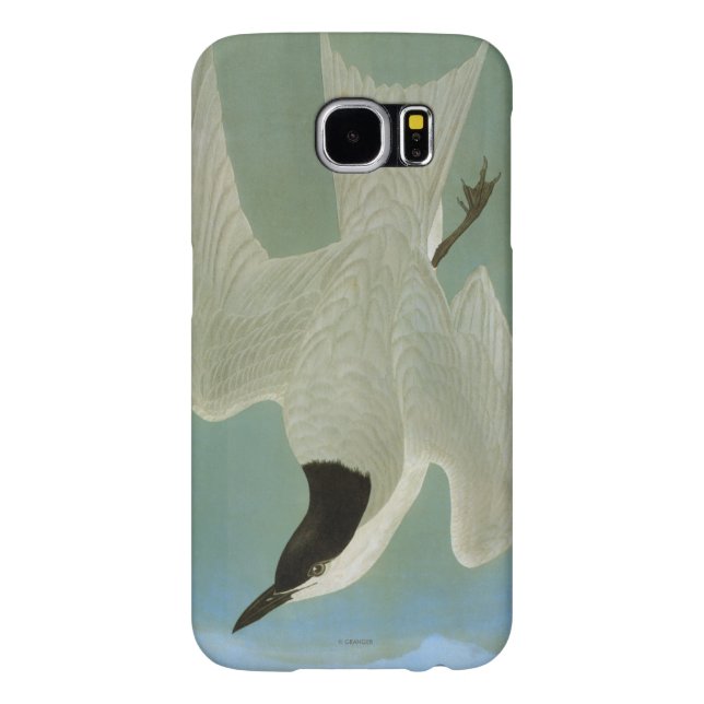 Capa Para Samsung Galaxy, Case-Mate Audubon: Andorinha-do-mar Gaivota-Faturada (Traseira)