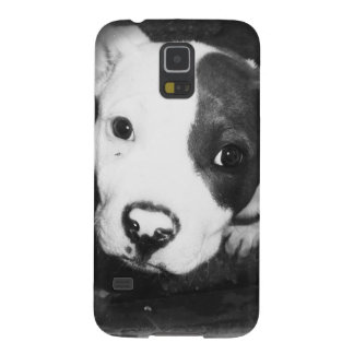 Capinha Galaxy S5 Filhote de cachorro azul de Pitbull do nariz