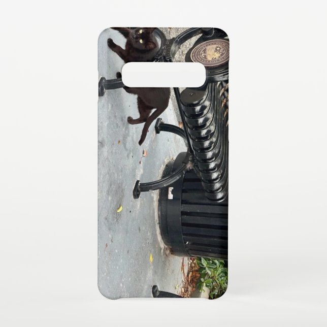 Capa Para Samsung Galaxy Gatinho no Parque (Verso)