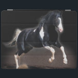 Capa Smart Para iPad Retrato de Cavalo VIII<br><div class="desc">Animais</div>