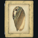 Capa Smart Para iPad Rustic Vintage Seashell<br><div class="desc">Este trabalho de arte do Vision Studio captura alguns dos melhores oceanos da vida marinha. Pegue este pedaço rústico de trabalho de arte desta concha de Conch. Leve o oceano com você para onde quer que vá.</div>