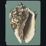 Capa Smart Para iPad Shell Teal Conch<br><div class="desc">Nesta bela e clássica concha preta e branca,  você pode ver o sombreamento de uma concha natural muito afiada e clara.  Você pode se imaginar na praia caçando conchas ou brincando na areia. Consiga esta arte náutica de concha de coleira em teal nos seus produtos favoritos hoje!</div>