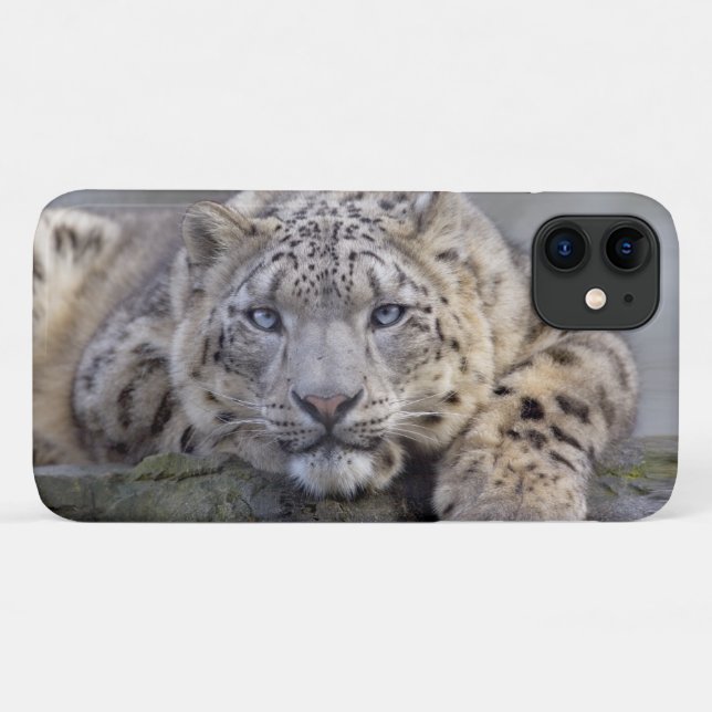 Capa Vishnu Snow Leopard para iPhone 11 (Verso (horizontal))