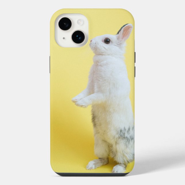 capas de coelho para iphone 14 plus  (Verso)