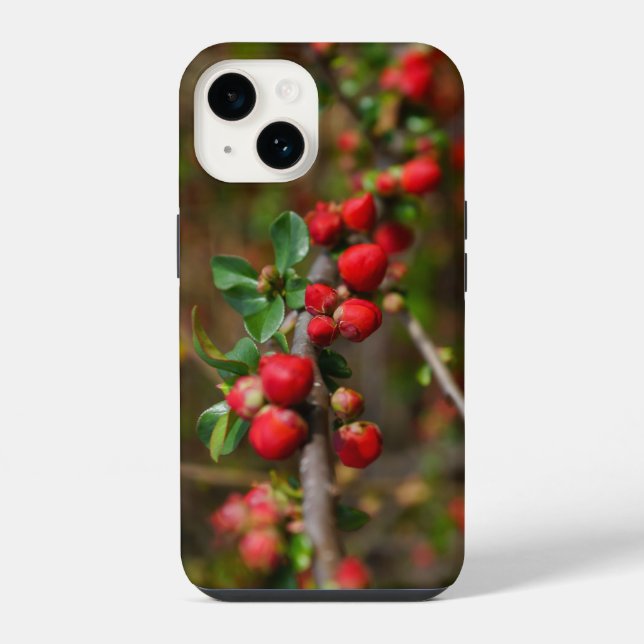 Capas de iPhone Botões Vermelhos da Primavera (Verso)