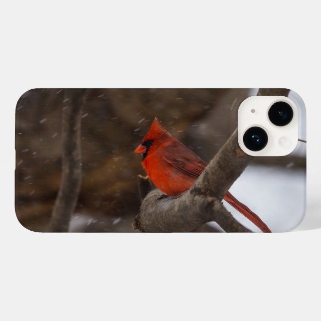 Capas de iphone Cardinal de Tempestade de Neve (Verso (horizontal))