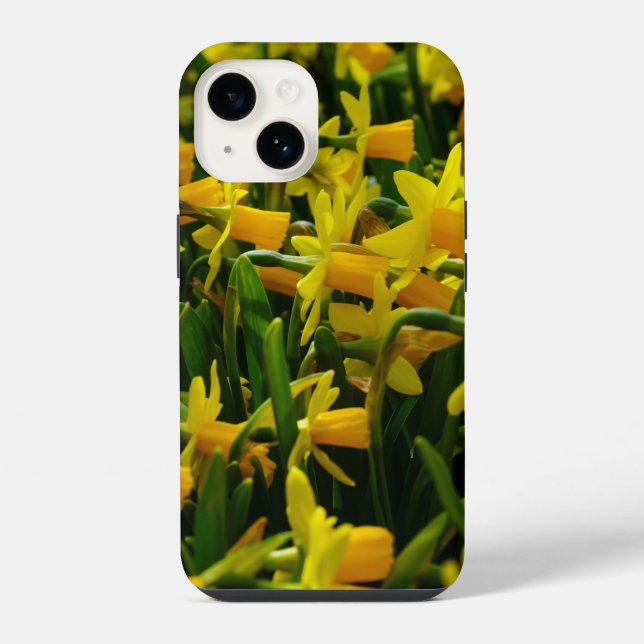 Capas de iphone da família Daffodil (Verso)