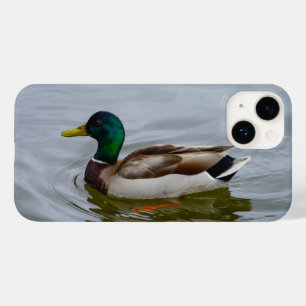 capas de iphone da Natação do natação Mallard