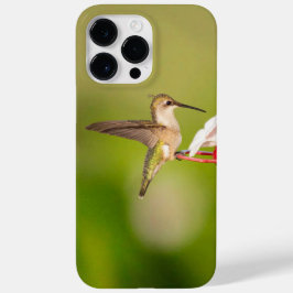 Capas de iphone de beija-flor com Throated #108A06